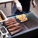 barbecue gaz grill 300 roshults