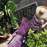 chaise longue bistro fermob tilleul