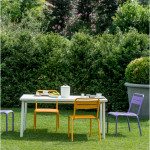 table star emu vert