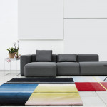 tapis colour carpet 05 hay