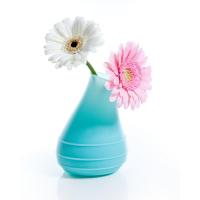 BLOB VASE - VASE JADE de ROYAL VKB