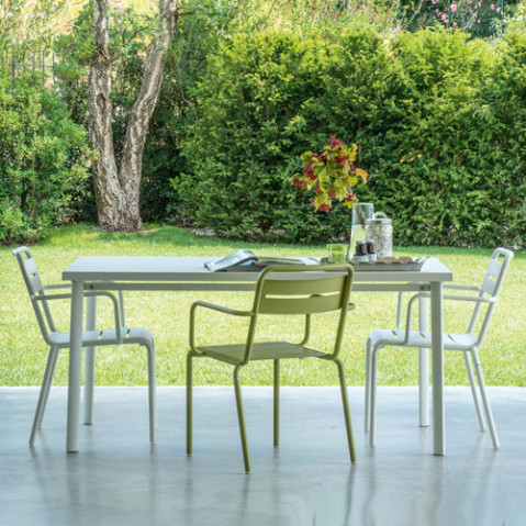 table star emu marron
